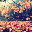 린피부과의원 이미지