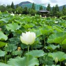 신정경로당 이미지