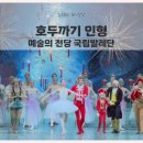 유아발레B | 2025 예술의전당 국립발레단 호두까기인형 관람후기, S석 1층B블록 시야