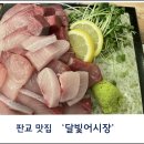 대방어와 해산물이 맛있었던 판교 횟집 달빛어시장