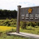 영춘농장 이미지