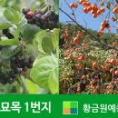 다락골케빈하우스 이미지