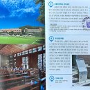 천주교 서울순례길 1코스 ⑦ 가톨릭대학교 성신교정 ❶ 이미지