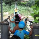 영광타조농장 이미지