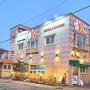 만선갑오징어