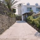 제주와봄 이미지