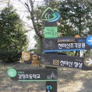 영도대교1 이미지