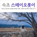 스테이 밭 | 속초 스테이오롯이 논 밭 뷰로 유명한 포토존 카페