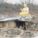 일상의 각별한 기행 이미지