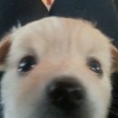 무지개트윈스아파트 | 다시 빛날 나에게