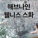 포레스트리솜 이미지