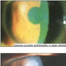 대연본안과의원 이미지