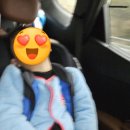 대암 팜트리 네이버블로그