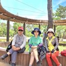 장자호수길 이미지