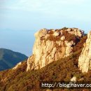 신하축산 이미지