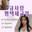 평택천연염색 큐사랑 평택세교점 탈모관리 염색 솔직후기
