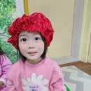 나무버섯 🍄 Mushroom~~ 이미지