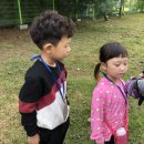 하늘향기유치원 이미지