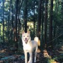 무지개민박 이미지