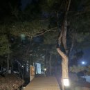 예술인마을 펜션 | 양양 숙소 추천, 이색숙소 컬렉터 6449 독채펜션 숙박 후기