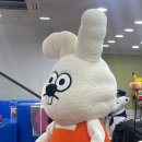 모모아일랜드