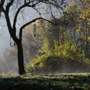 <형태의 속삭임> 이미지