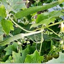 셋터농장 이미지