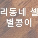 셀럽프라자 이미지