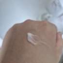 오아조 이미지