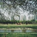 하나 컨설팅 및 행정사 이미지