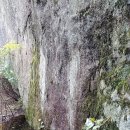 선인1리 이미지