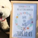 세이브더데이트(Save The Date) 이미지