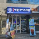 아이스크림 강릉 유명 먹물아이스크림 양재시민의숲 아이스크림 맛집 추천 마시와양재 먹어본 솔직후기