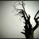 사람과사람 이미지