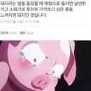 빠빠루 이미지