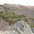 오서산 주차장 화장실 이미지