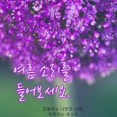전박사 Daum카페