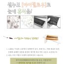 천년거북 희상 이미지