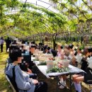 주강농장 이미지