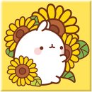 해바라기북스 이미지