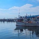 대진항(어판장) 이미지