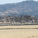 순천만 그리고 나 이미지