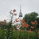 게임플라자 남산서울타워점 | 서울관광명소, 케데헌으로 국제관광지가 된, 남산 서울타워