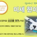 한국타로교육협회