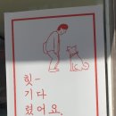 묘한마카롱