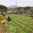 (주)한국복지신문사