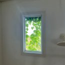 우도닻 | 제주 웨딩스냅을 곁들인 어쩌다 이른 여름휴가_6월의 제주(애월 숙소, 더 노스텔지아 / 우도 여행)