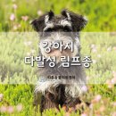 리본 동물병원 이미지