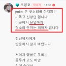 Re: 조양호의 말장난 (조양호, pnko는 가짜피해자) 이미지