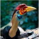 서초 전문 행정사사무소 이미지